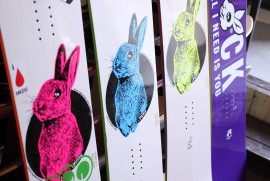 Daily Photograph 11 Daily Photograph 11