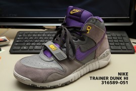 nike trainer dunk hi 316589-051