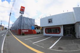 Daily Photograph 170