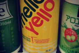 Daily Photograph 173