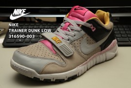 NIKE TRAINER DUNK LOW 316560-003