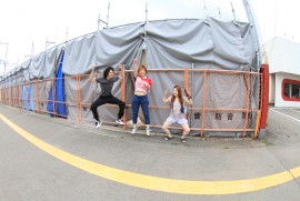 Daily Photograph 203