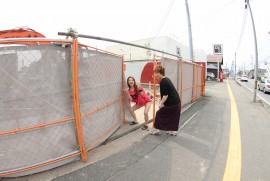 Daily Photograph 227