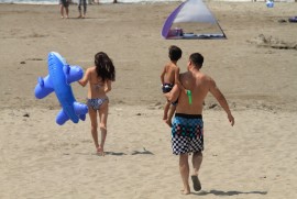 Daily Photograph 233