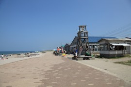 Daily Photograph 240