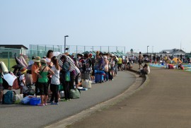 Daily Photograph 245