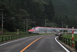 Daily Photograph 247