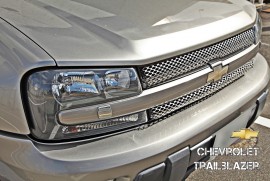 Daily Photograph 310 CHEVROLET TRAILBLAZER