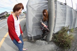 Daily Photograph 311