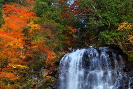 Daily Photograph 353 森吉山 紅葉 2013