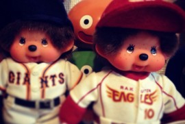 Daily Photograph 355