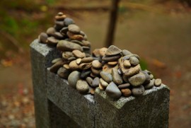 Daily Photograph 367 平泉 中尊寺 紅葉 2013