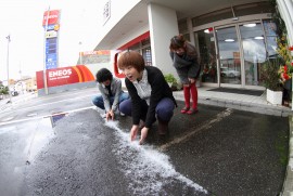 Daily Photograph 382