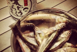 Daily Photograph 407 Daily Photograph 407