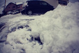 Daily Photograph 423 Daily Photograph 423