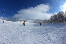 Daily Photograph 449 Daily Photograph 449