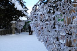 Daily Photograph 473 太平山三吉神社