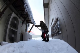 Daily Photograph 501 Daily Photograph 501