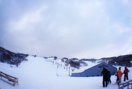 Daily Photograph 503 Daily Photograph 503