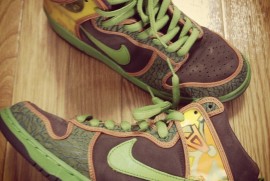 Daily Photograph 508 Daily Photograph 508