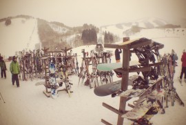 Daily Photograph 510 Daily Photograph 510