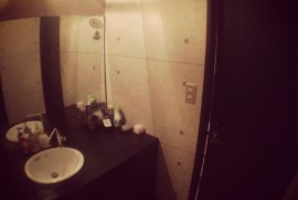 Daily Photograph 521