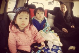 Daily Photograph 529