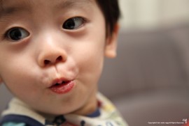 最近のめんちょこちゃん127