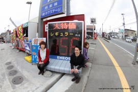 Daily Photograph 577