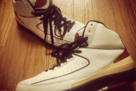 Daily Photograph 581