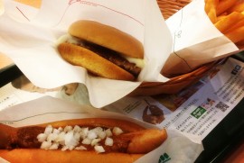 Daily Photograph 583