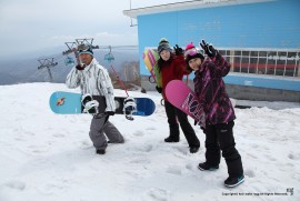 Daily Photograph 586