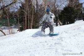 Daily Photograph 587