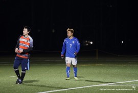 Daily Photograph 591