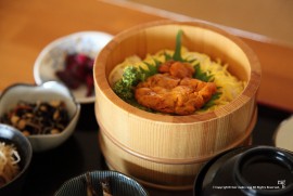 Daily Photograph 617