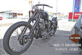 Daily Photograph 619 (HARLEY DAVIDSON SHOVEL HEAD)