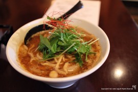 Daily Photograph 623