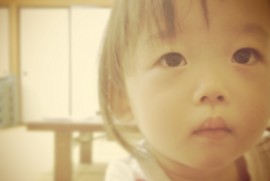 Daily Photograph 642