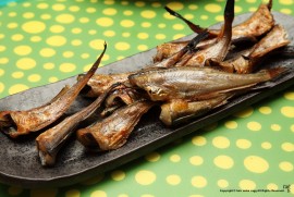 Daily Photograph 645