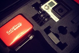 Daily Photograph 647