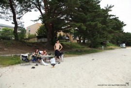 Daily Photograph 650