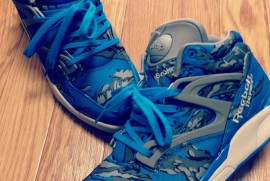 Daily Photograph 682