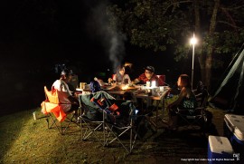 Daily Photograph 689