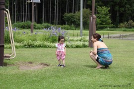 最近のめんちょこちゃん152