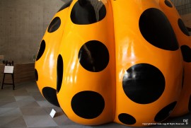 Daily Photograph 719 Daily Photograph 719