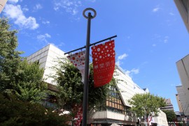 Daily Photograph 720 Daily Photograph 720