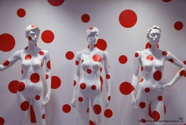 Daily Photograph 721 Daily Photograph 721