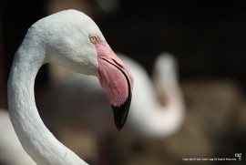 Daily Photograph 744