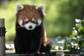 Daily Photograph 745