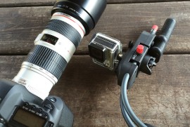 Daily Photograph 746